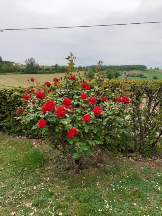 Montpezat-de-Quercy Gite De La Cheneraie מראה חיצוני תמונה